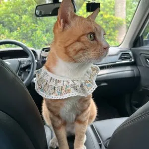 베스트 후기 이미지