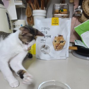 베스트 후기 이미지