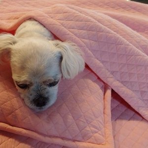 베스트 후기 이미지