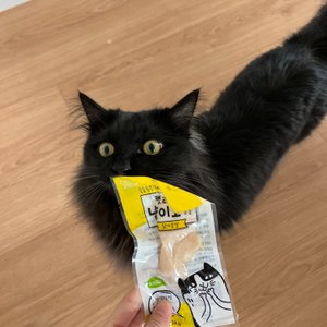 베스트 후기 이미지