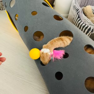 베스트 후기 이미지