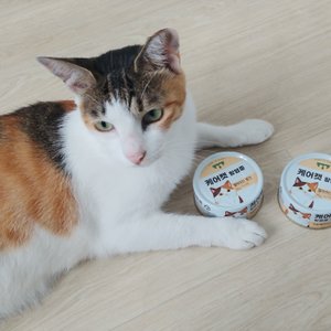 베스트 후기 이미지