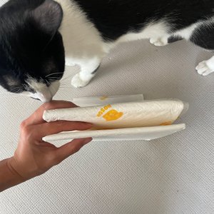 베스트 후기 이미지