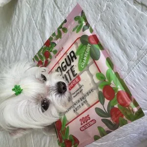 베스트 후기 이미지