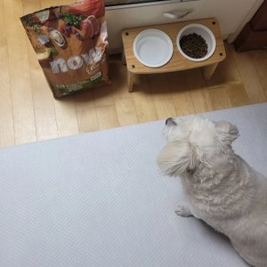 [웰컴딜] now 독 프레쉬 그레인프리 스몰브리드 시니어 2.72kg 베스트 후기 이미지