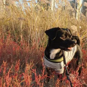 베스트 후기 이미지