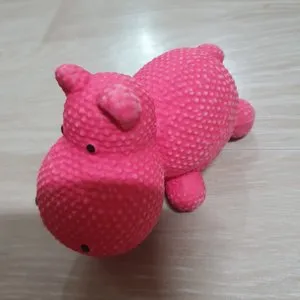 베스트 후기 이미지