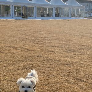 베스트 후기 이미지