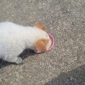 베스트 후기 이미지