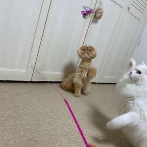 베스트 후기 이미지