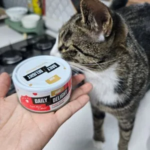 베스트 후기 이미지