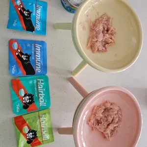 베스트 후기 이미지