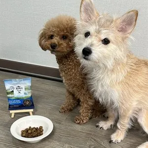 베스트 후기 이미지