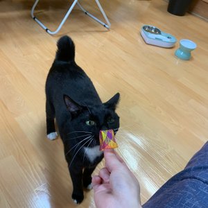 베스트 후기 이미지