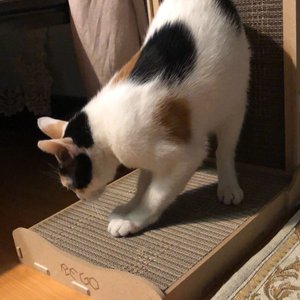 베스트 후기 이미지