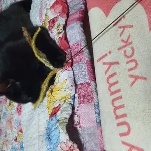 베스트 후기 이미지