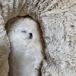 베스트 후기 이미지