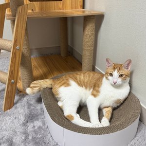 베스트 후기 이미지