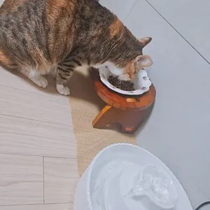 베스트 후기 이미지