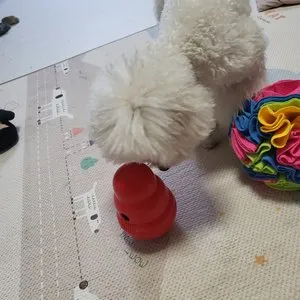 베스트 후기 이미지