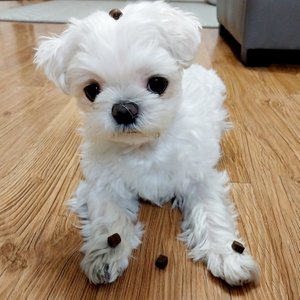 베스트 후기 이미지