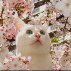 베스트 후기 이미지