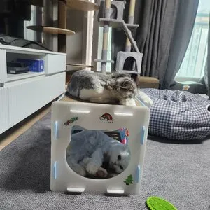 베스트 후기 이미지