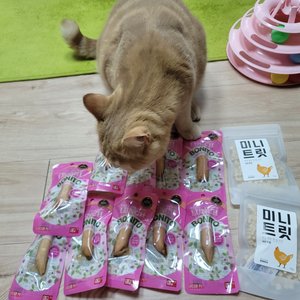 베스트 후기 이미지