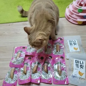 베스트 후기 이미지