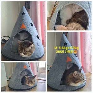 베스트 후기 이미지