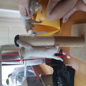 베스트 후기 이미지