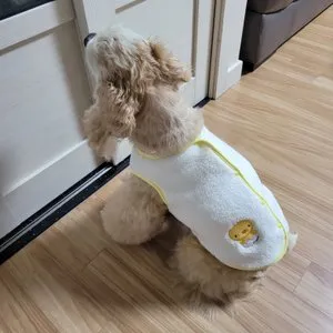 베스트 후기 이미지