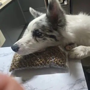 베스트 후기 이미지