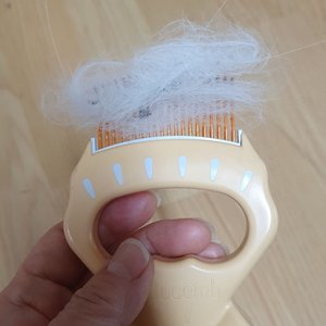 베스트 후기 이미지