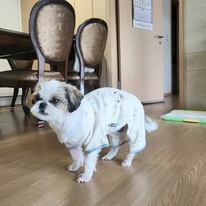 베스트 후기 이미지