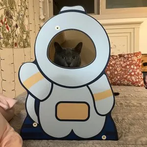 베스트 후기 이미지