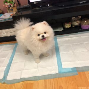 베스트 후기 이미지