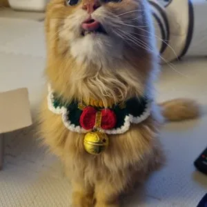 베스트 후기 이미지