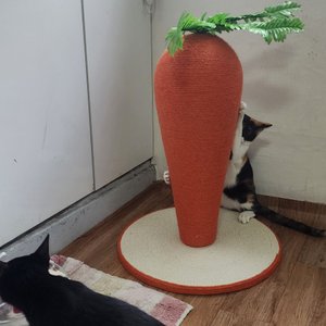 베스트 후기 이미지