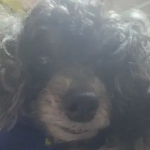 베스트 후기 이미지