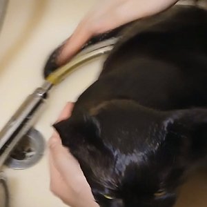 베스트 후기 이미지