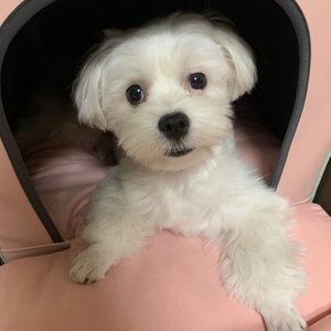 베스트 후기 이미지