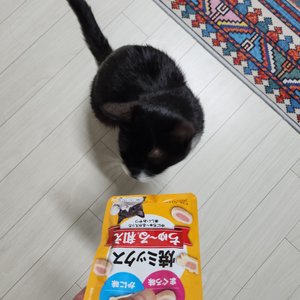 베스트 후기 이미지