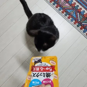 베스트 후기 이미지