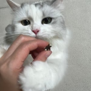 베스트 후기 이미지