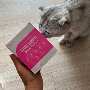 베스트 후기 이미지