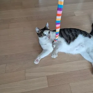 베스트 후기 이미지