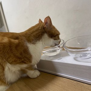 베스트 후기 이미지