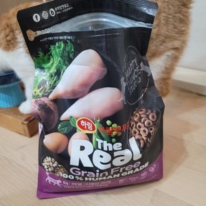 더리얼 캣 그레인프리 크런치 닭고기 어덜트 1.6kg 베스트 후기 이미지