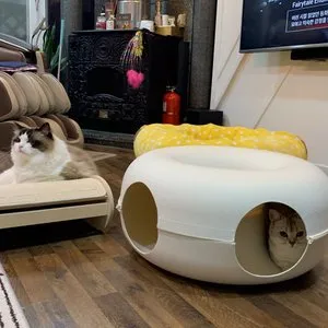 베스트 후기 이미지